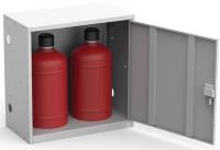 Шкаф газовый ШГР 27-2-4 (2x27л)